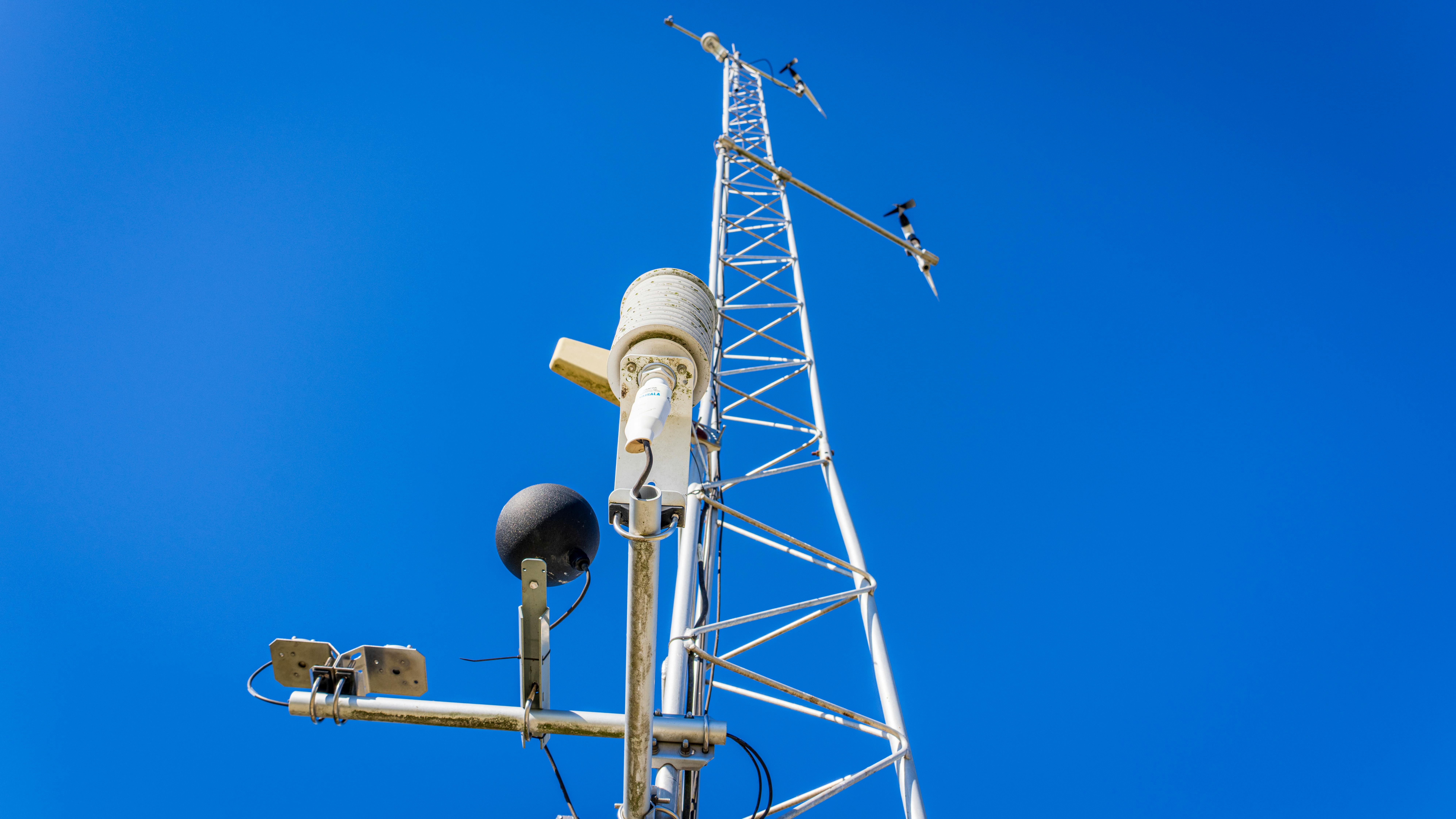 Voice network